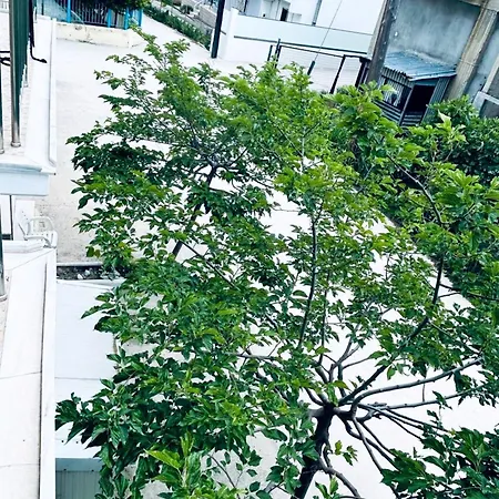 A & A 2 - Comfort And Tranquility In The Center Of * مدينة سكياثوس