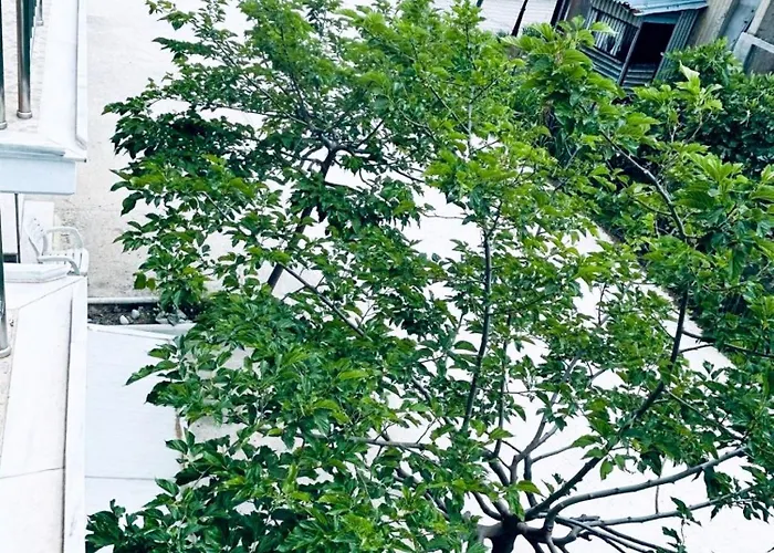 A & A 2 - Comfort And Tranquility In The Center Of * Skiathos